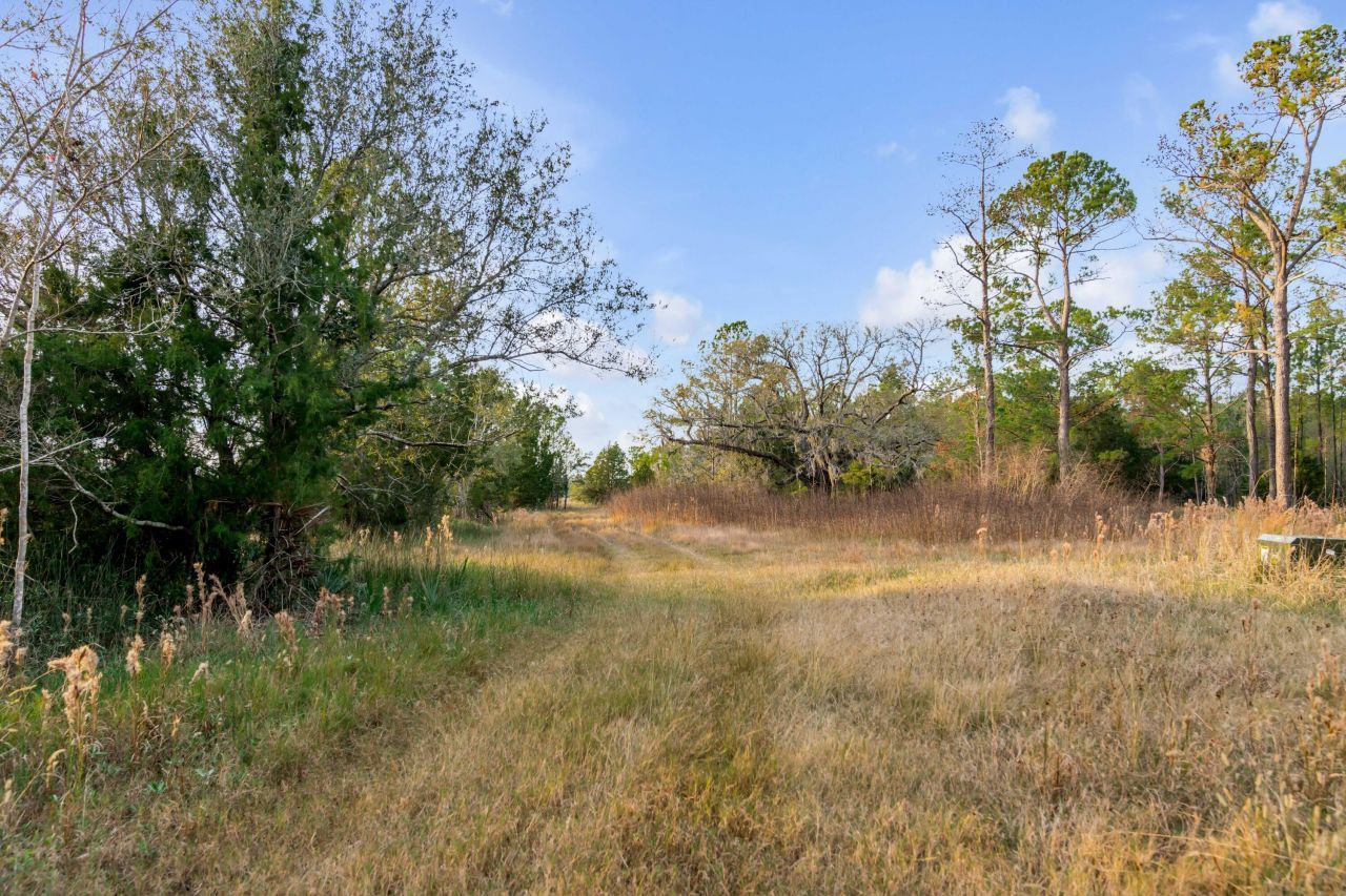 1225 Guerins Bridge Road Photo 25