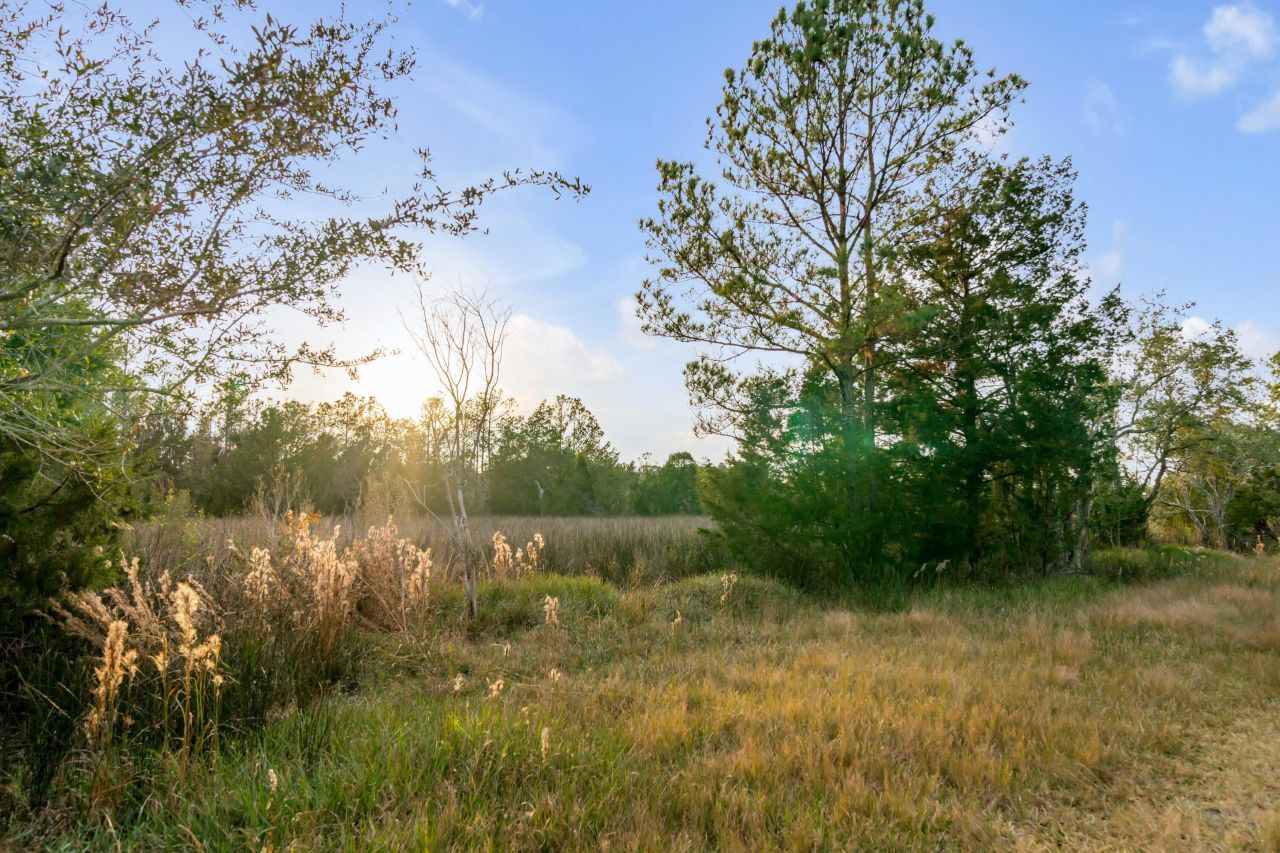 1225 Guerins Bridge Road Photo 27