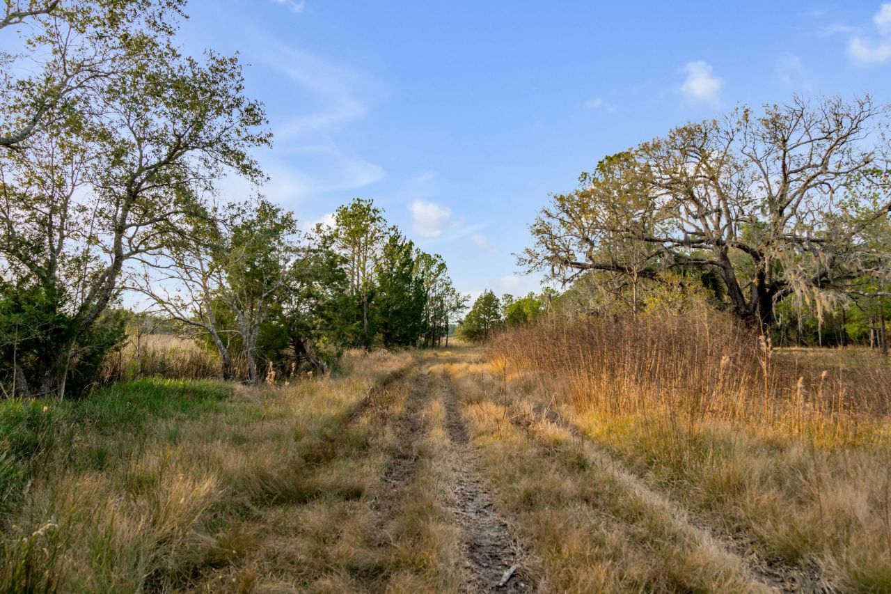 1225 Guerins Bridge Road Photo 28