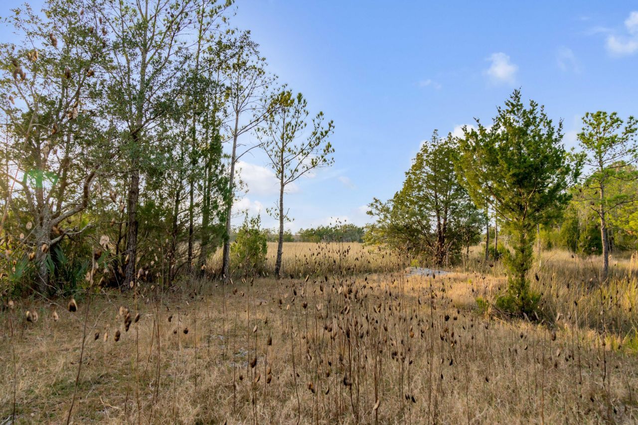 1225 Guerins Bridge Road Photo 29