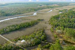 1225 Guerins Bridge Road photo 4