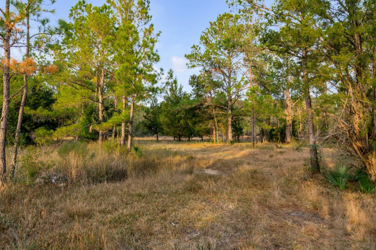 1225 Guerins Bridge Road Photo 30