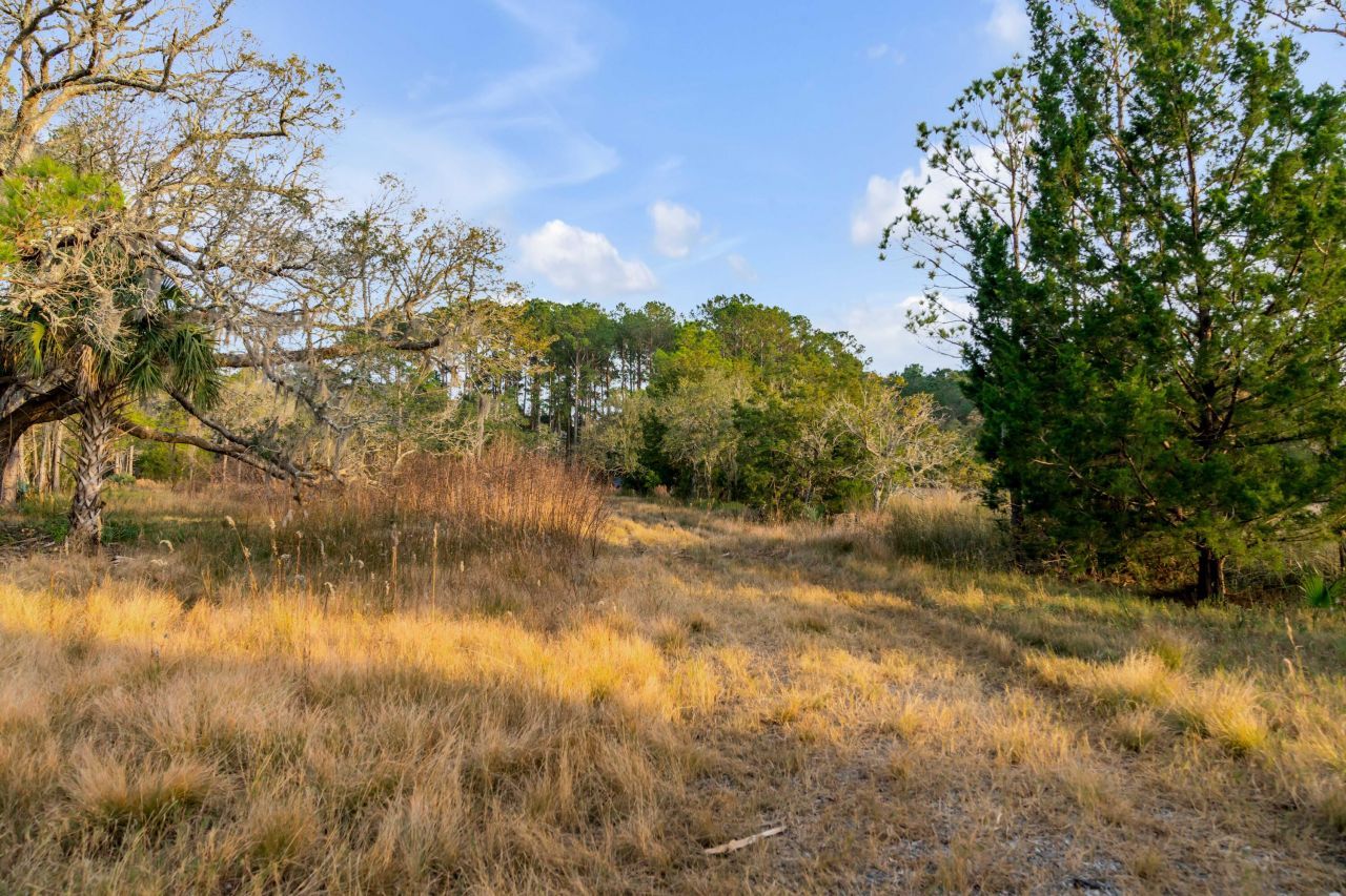 1225 Guerins Bridge Road Photo 31