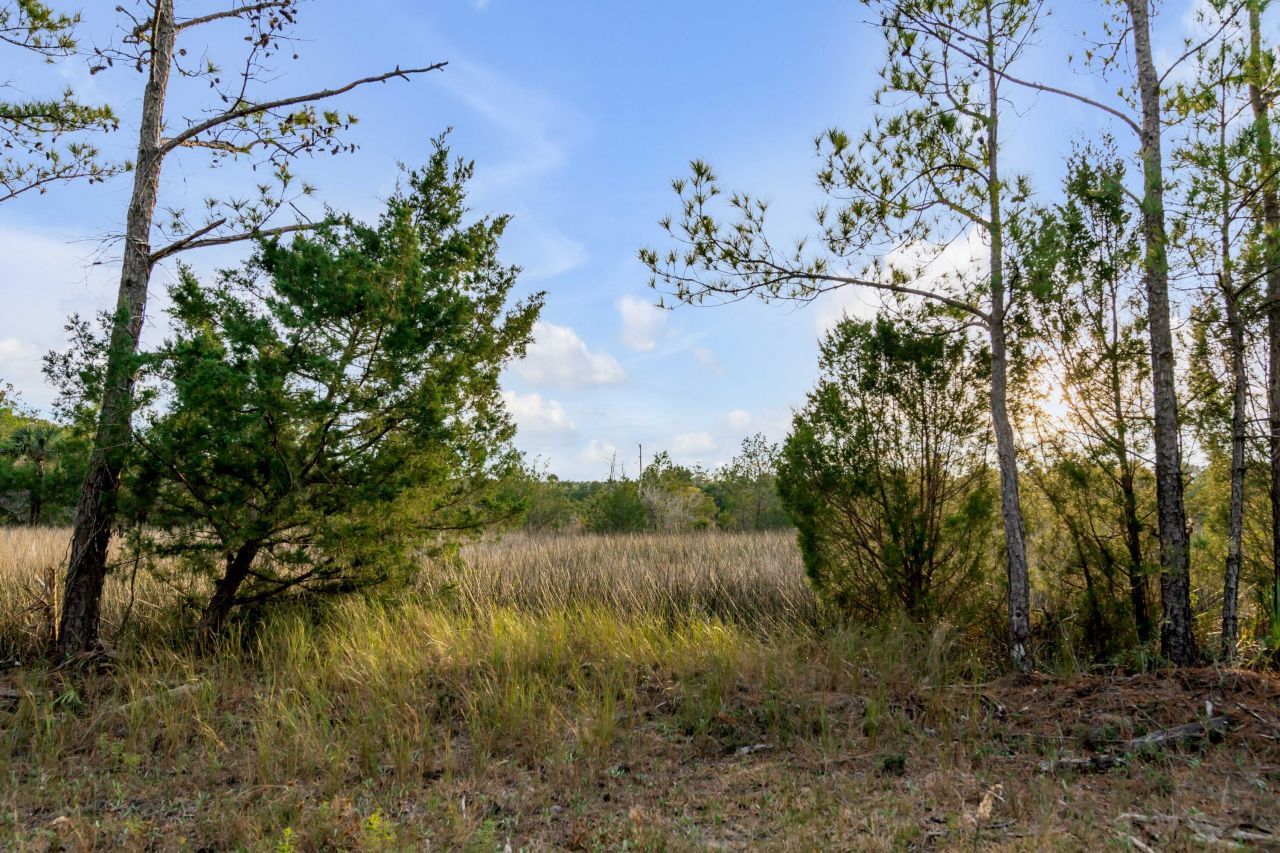 1225 Guerins Bridge Road Photo 32