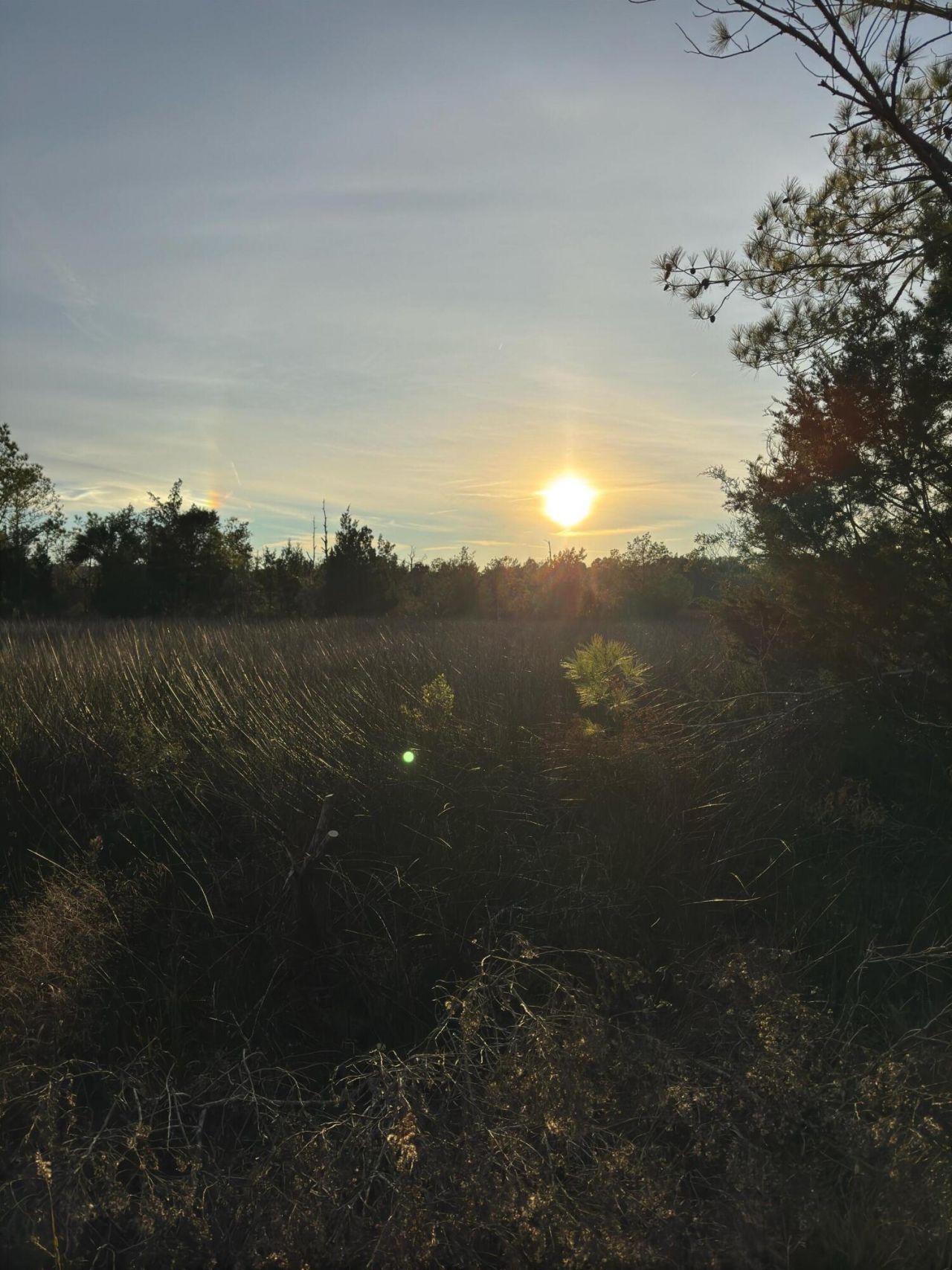 1225 Guerins Bridge Road Photo 33