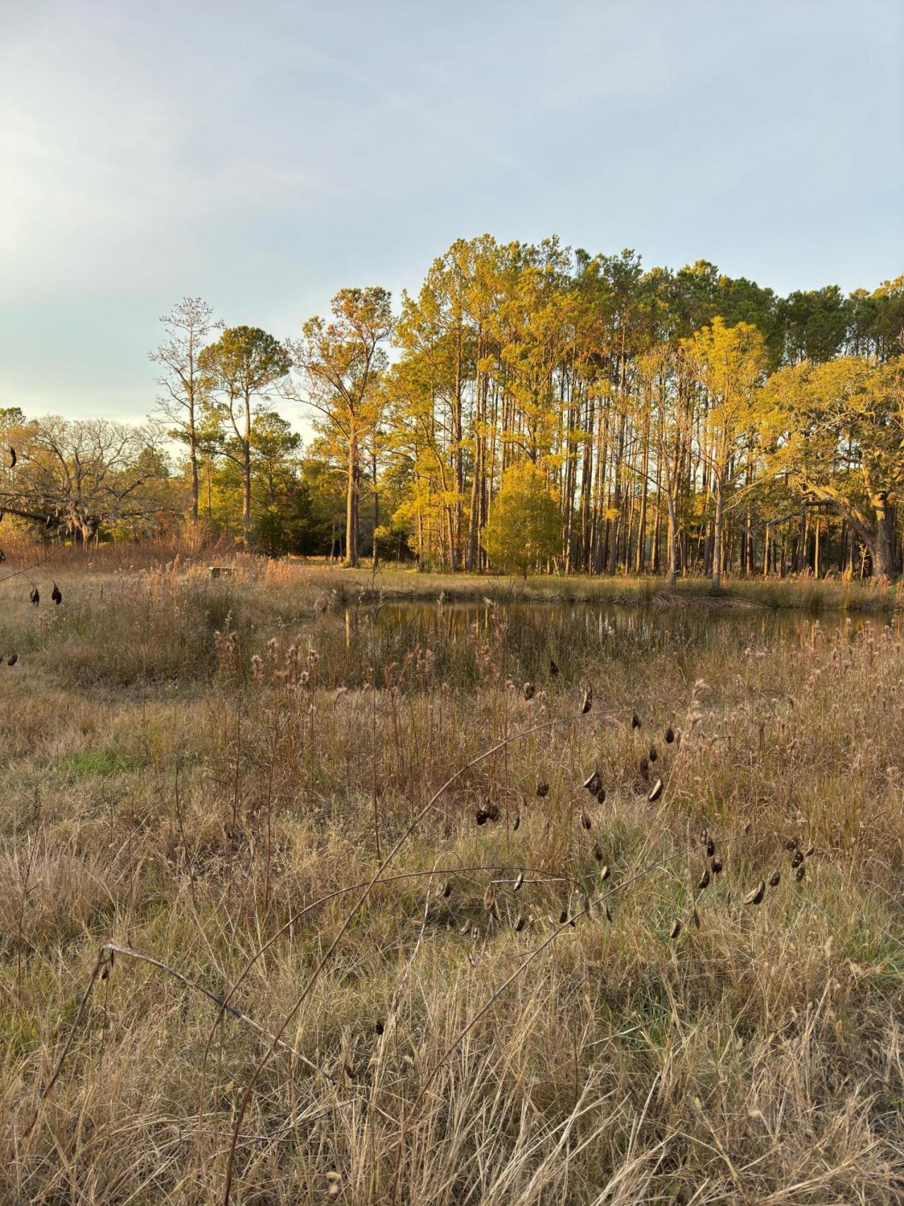 1225 Guerins Bridge Road Photo 35