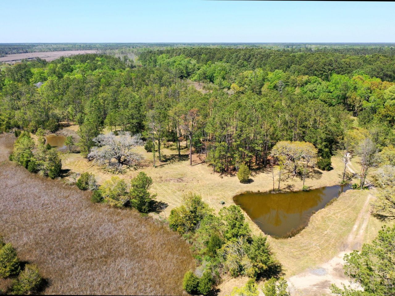 1225 Guerins Bridge Road Photo 39