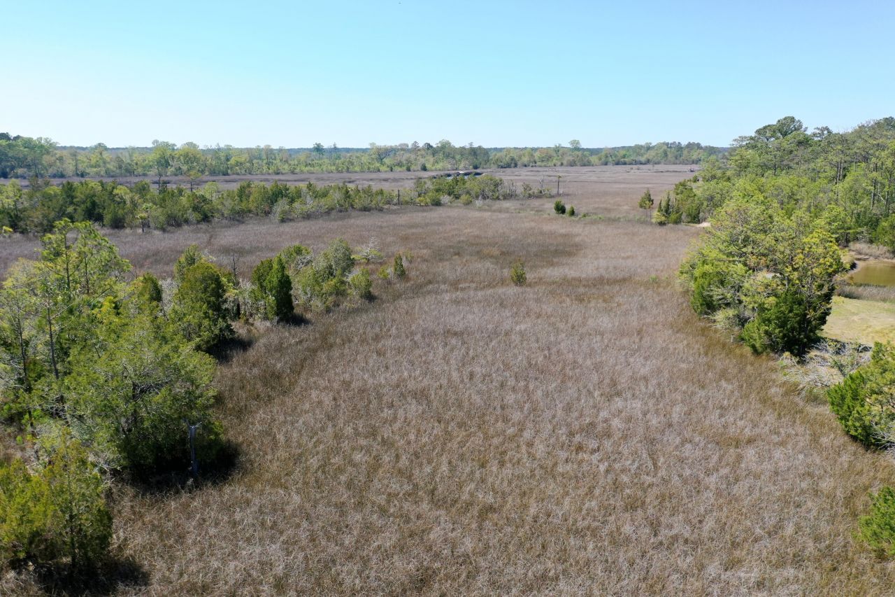 1225 Guerins Bridge Road Photo 49