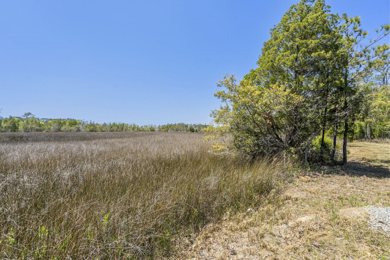 1225 Guerins Bridge Road Photo 57