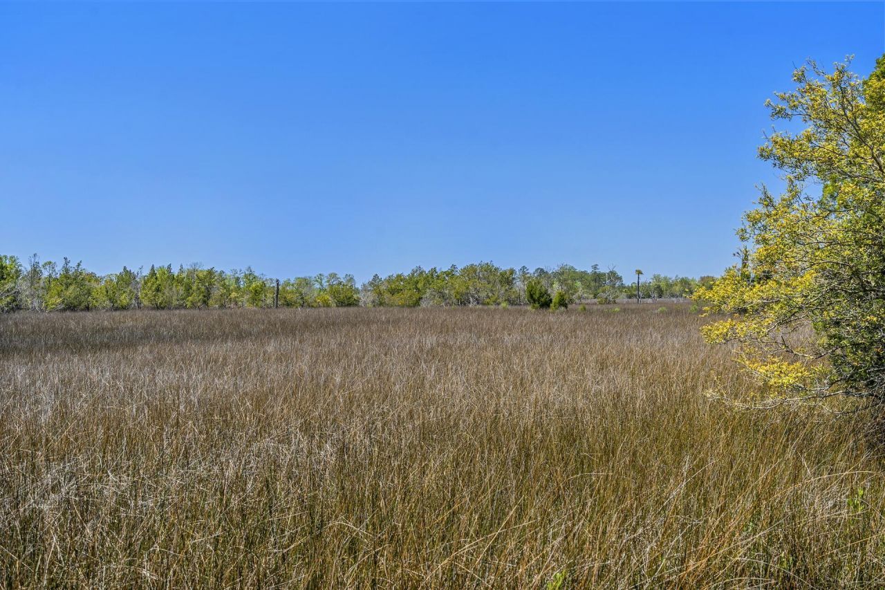 1225 Guerins Bridge Road Photo 59