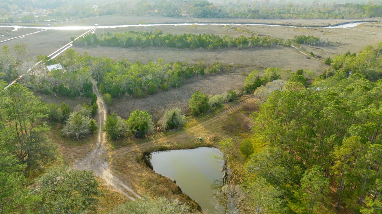 1225 Guerins Bridge Road Photo 6