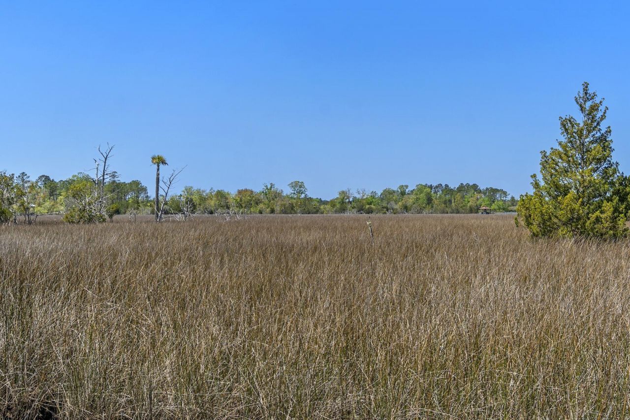 1225 Guerins Bridge Road Photo 60