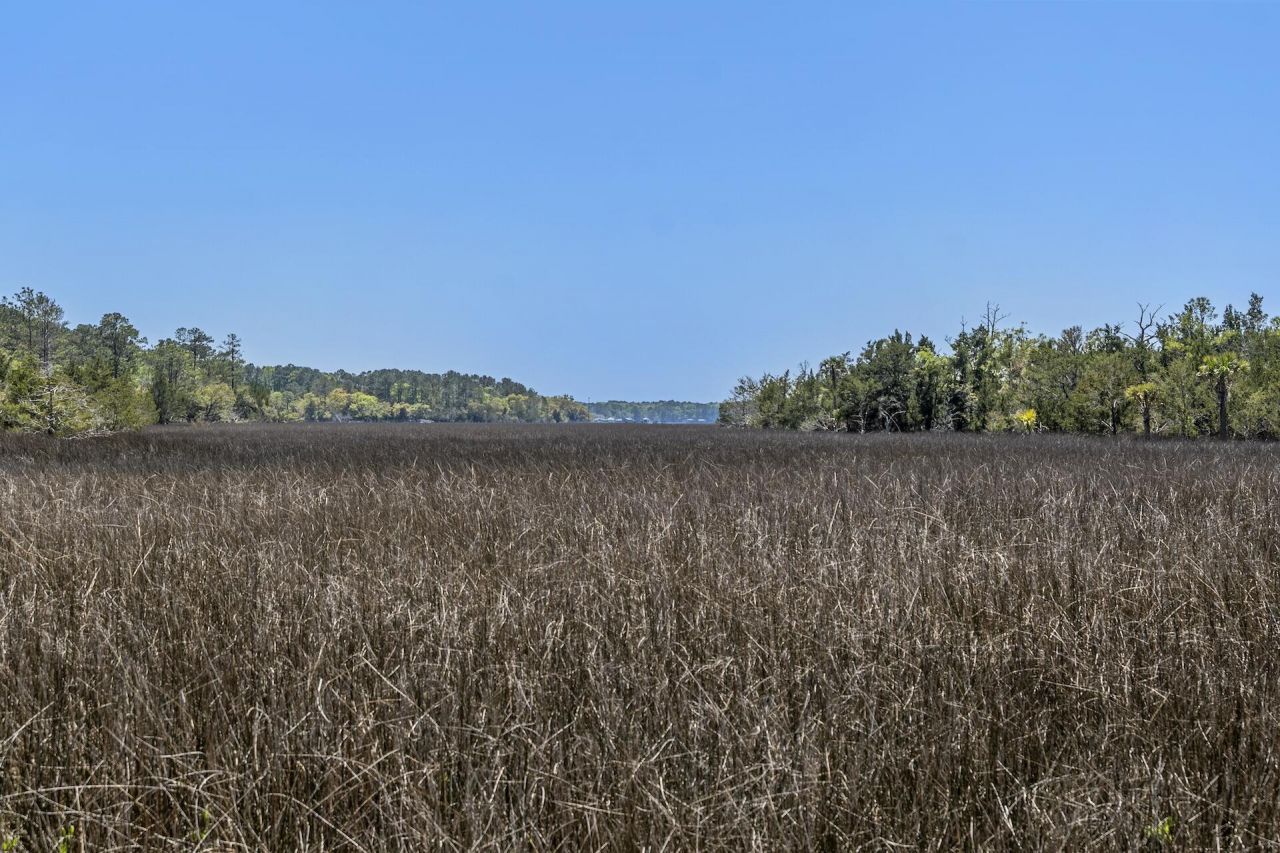 1225 Guerins Bridge Road Photo 62