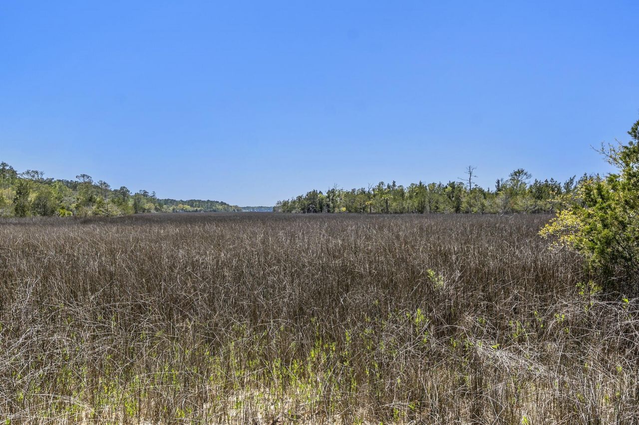 1225 Guerins Bridge Road Photo 63