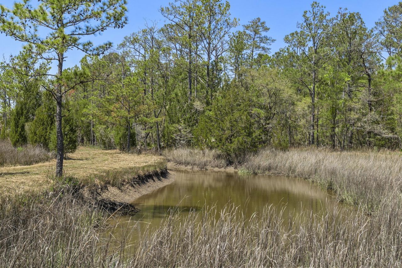 1225 Guerins Bridge Road Photo 65