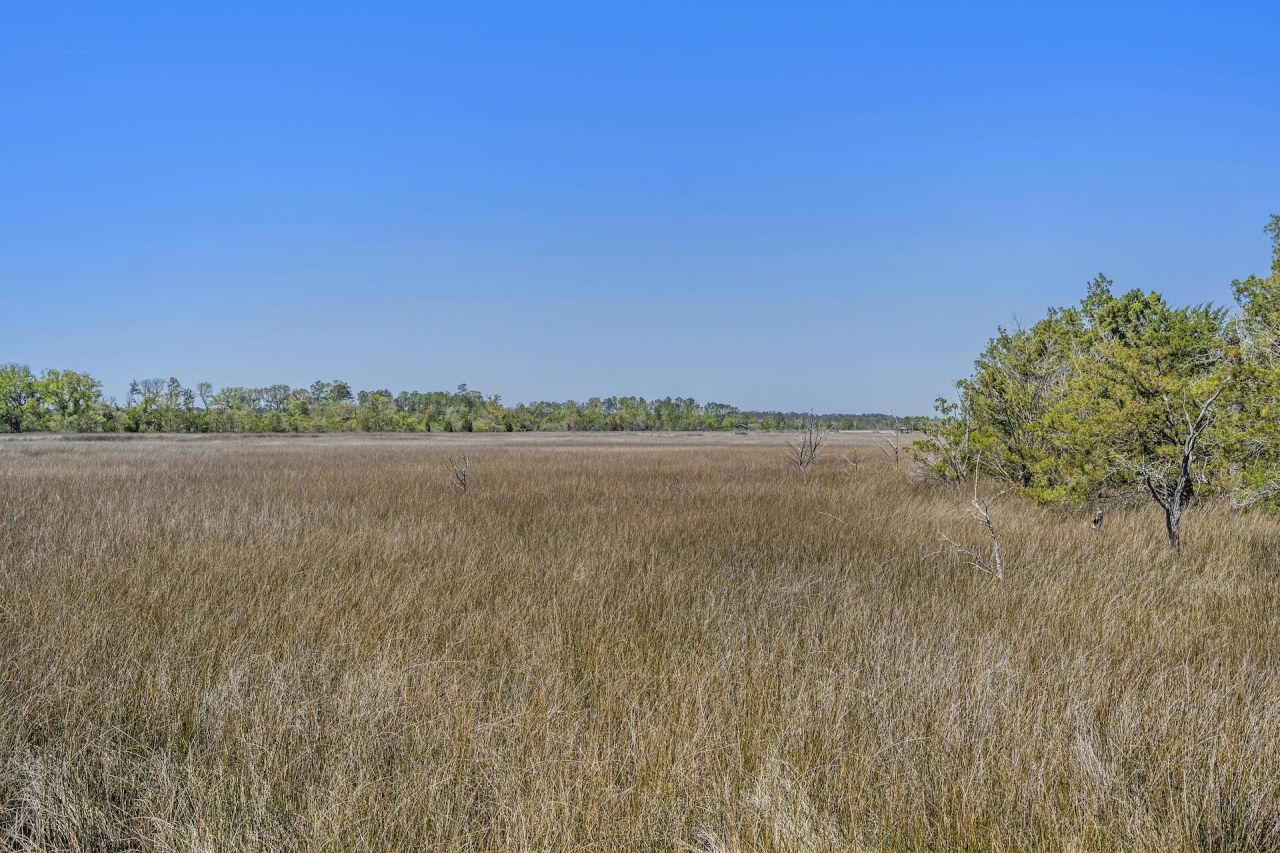 1225 Guerins Bridge Road Photo 70