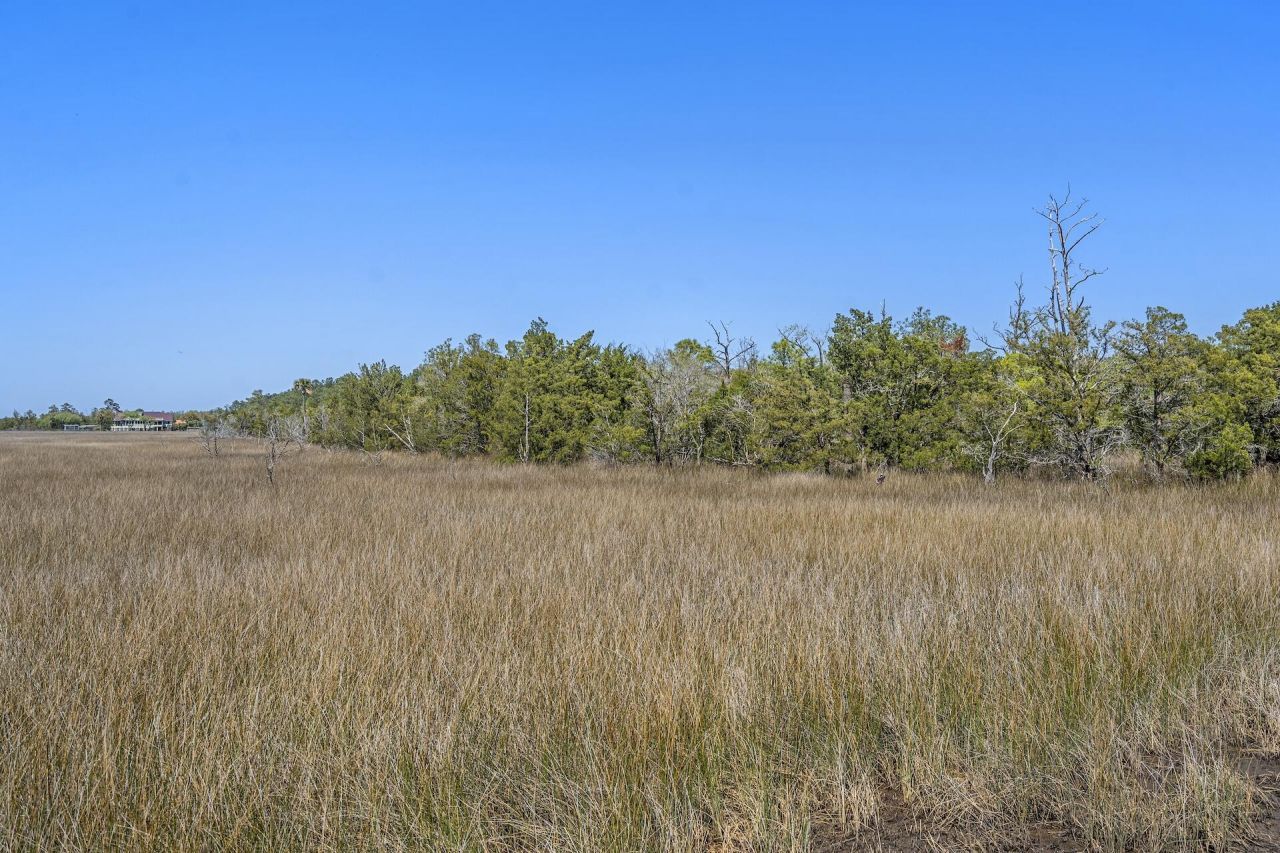 1225 Guerins Bridge Road Photo 77