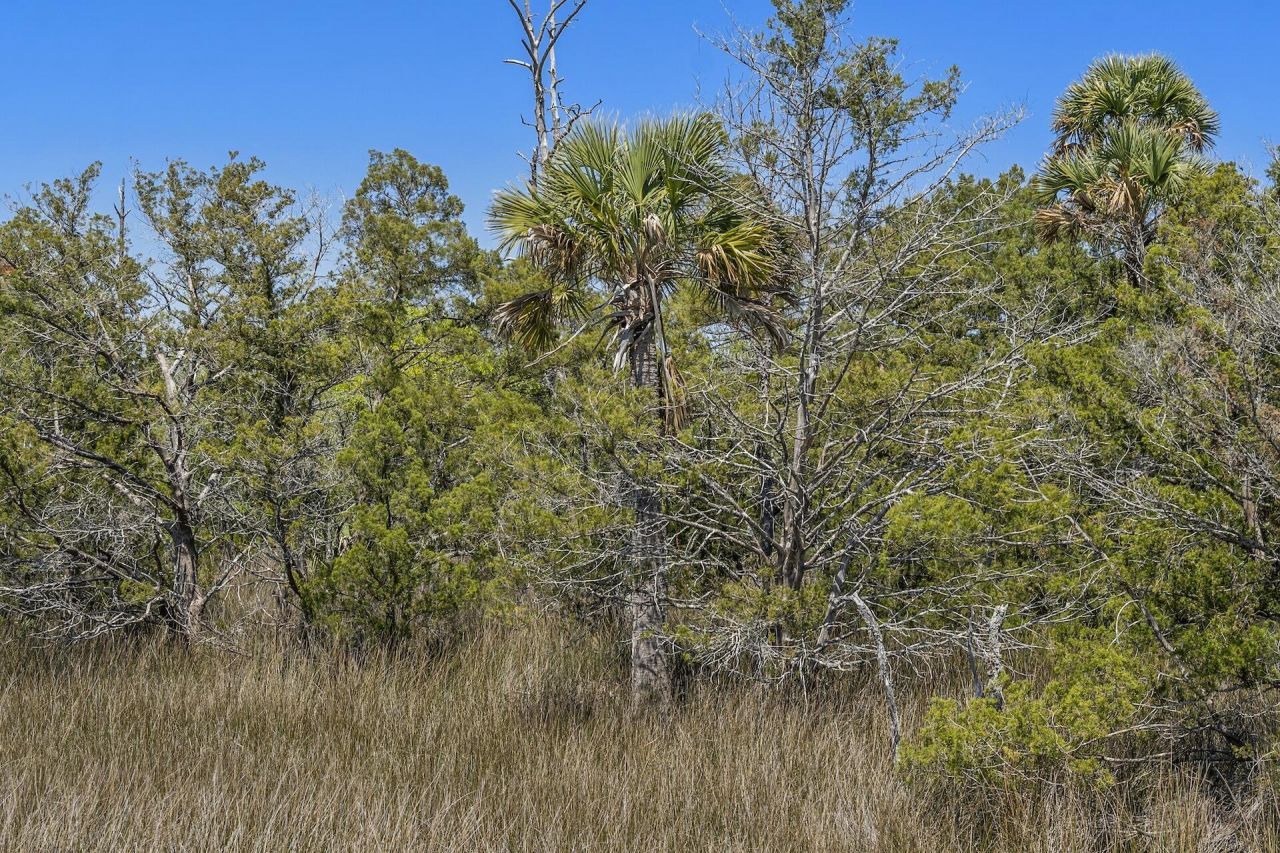 1225 Guerins Bridge Road Photo 79