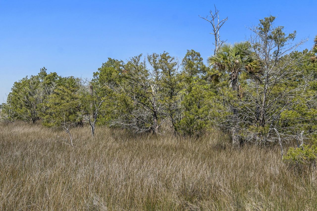 1225 Guerins Bridge Road Photo 80