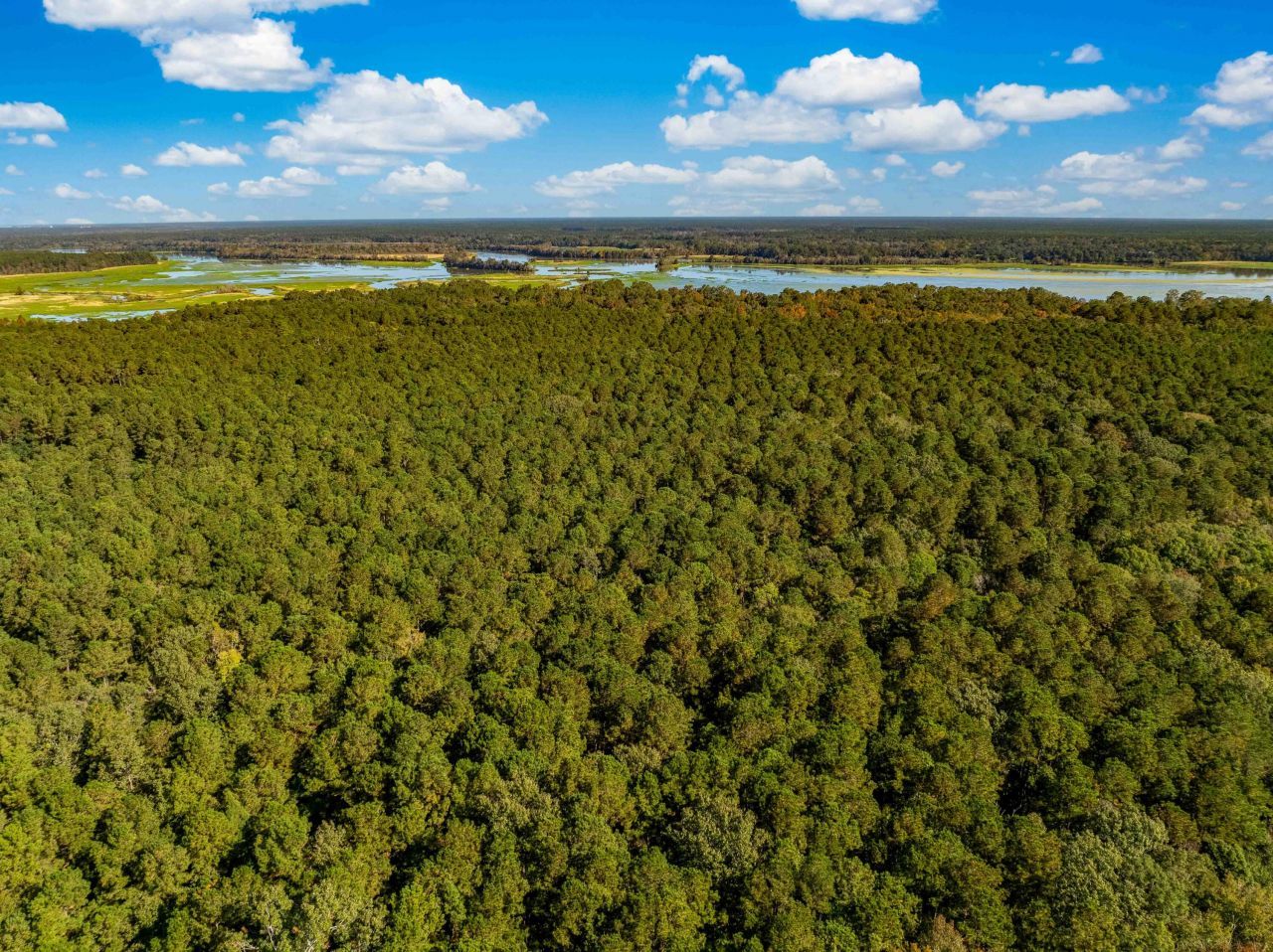 0 Point Comfort Photo 18