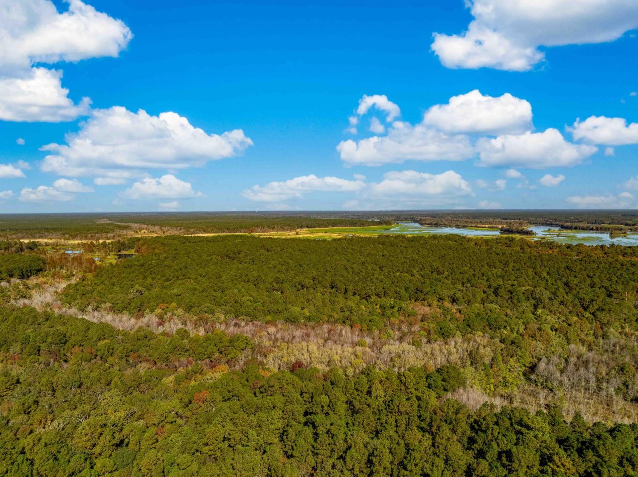 0 Point Comfort Photo 19