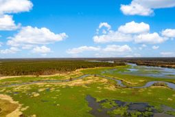 0 Point Comfort photo 4