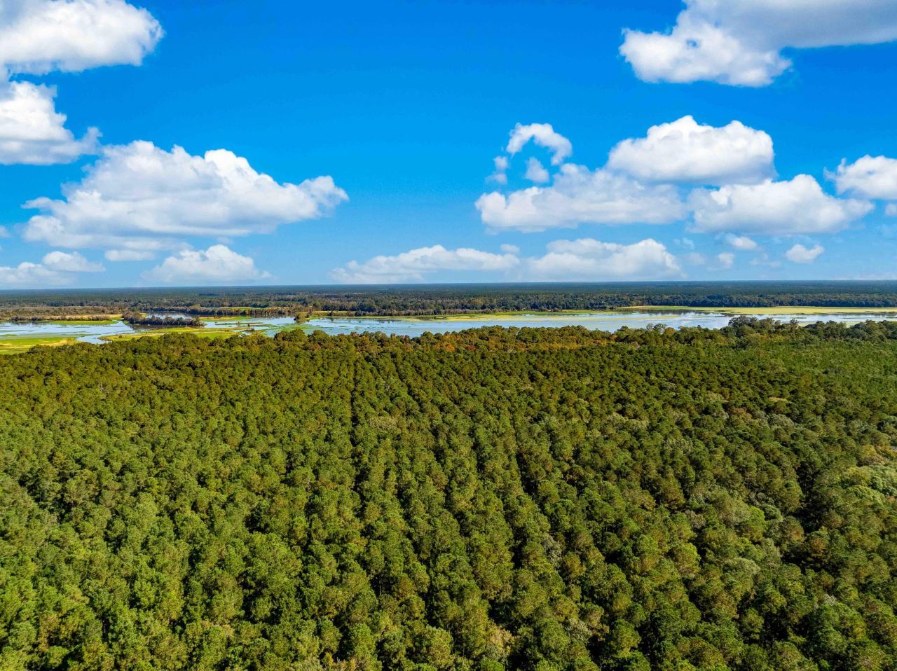 0 Point Comfort Photo 15