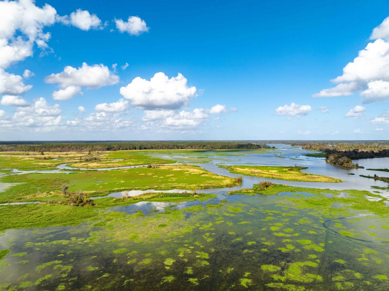 0 Point Comfort Photo 27