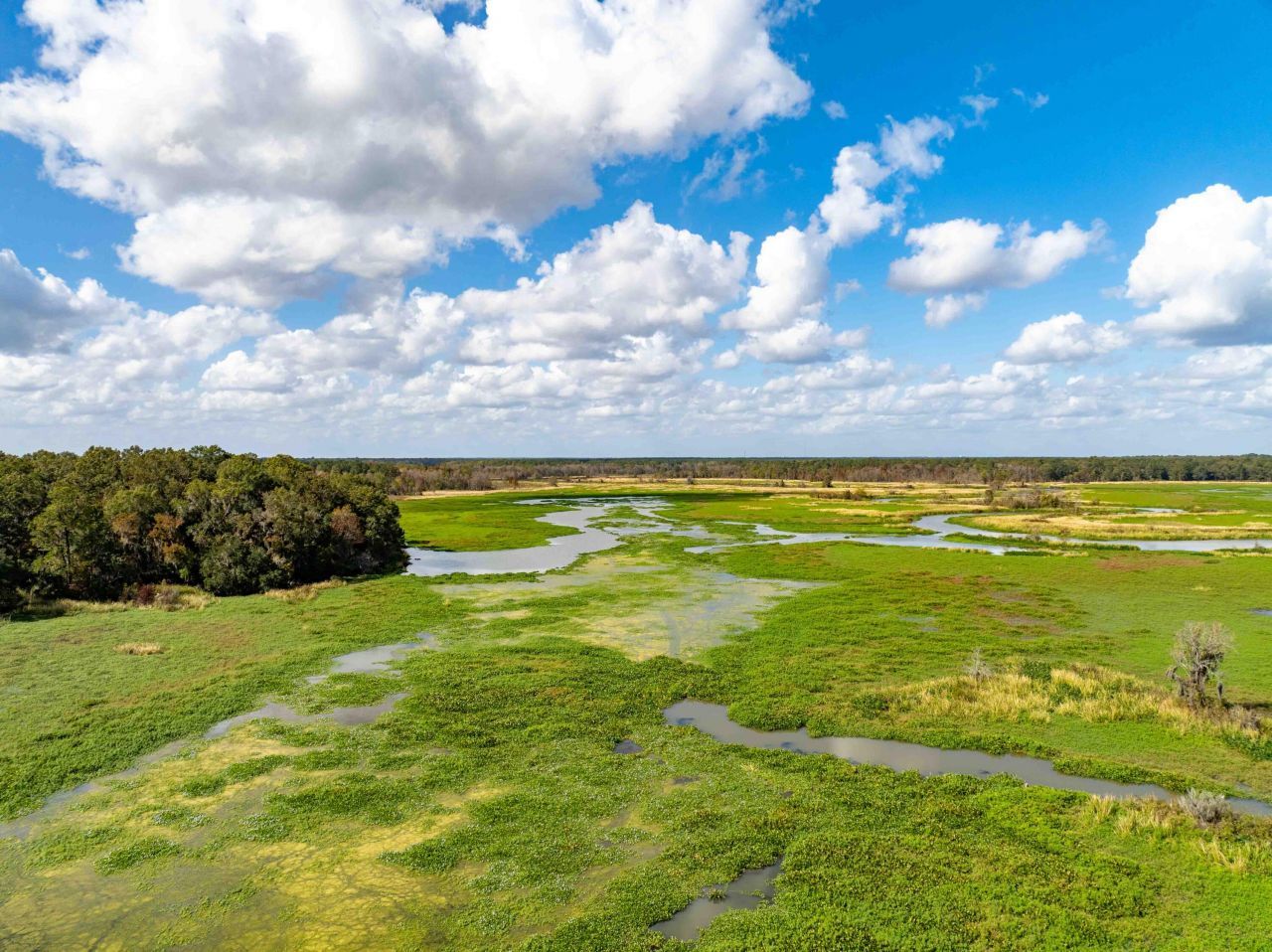 0 Point Comfort Photo 29