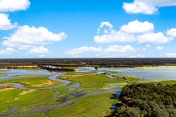 0 Point Comfort photo 4