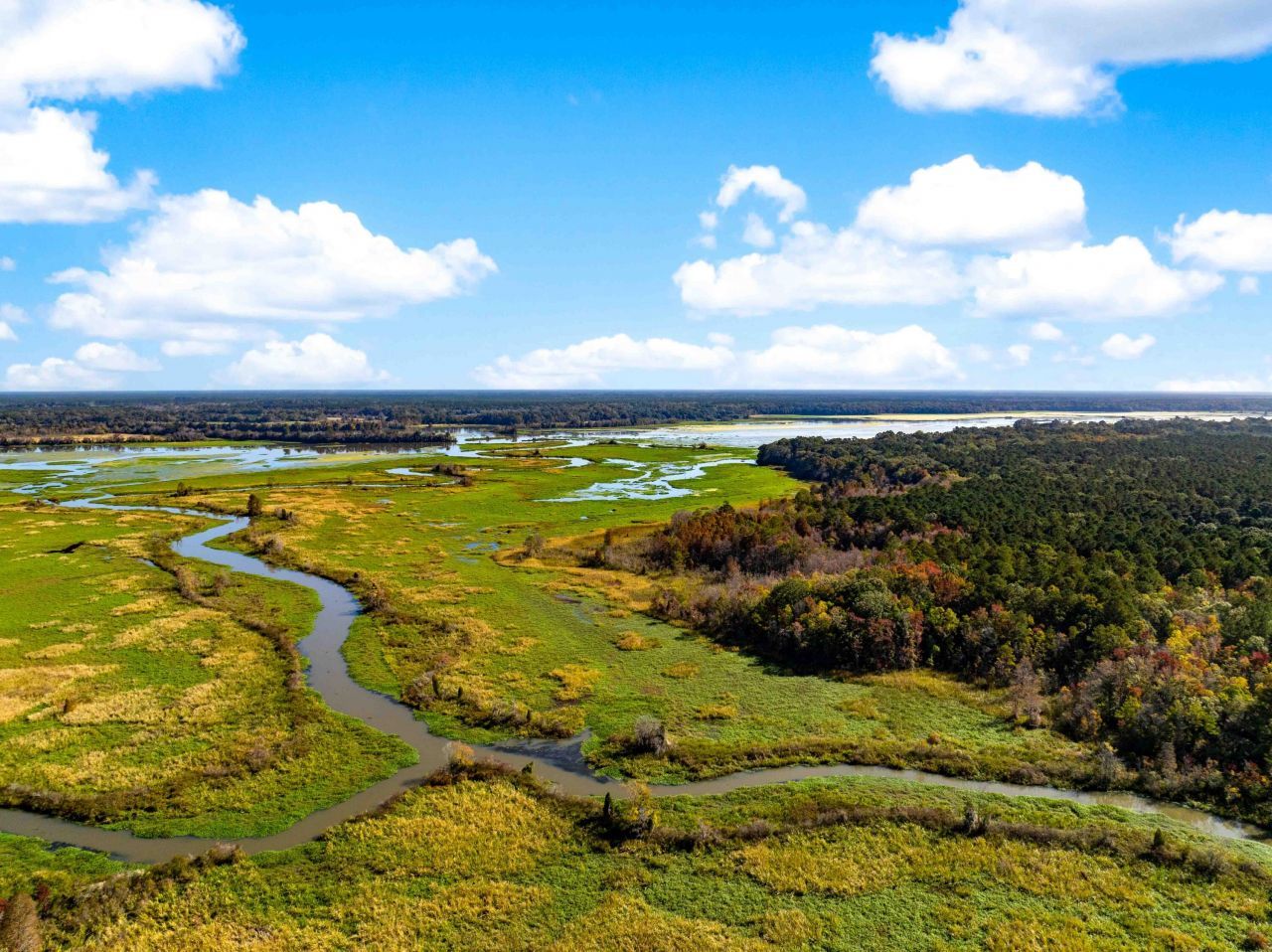 0 Point Comfort Photo 9