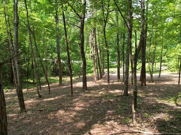 0 Cypress Drive, Spring City, TN 37381