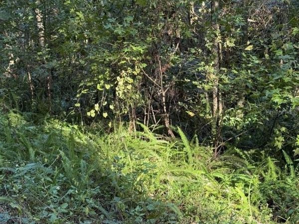 TBD NW 7TH STREET, OCALA, FL 34482