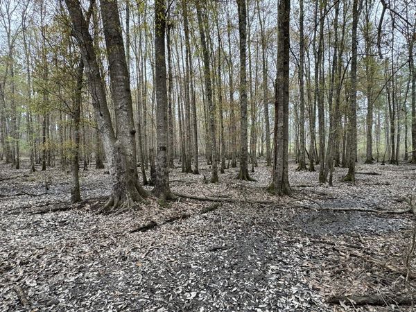 0 MS-15, Ellisville, MS 39437