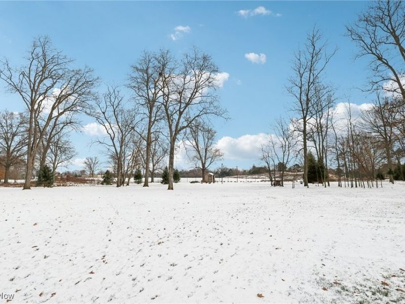 1688 Oakwood Drive, Cleveland Heights, OH 44121 Photo 2