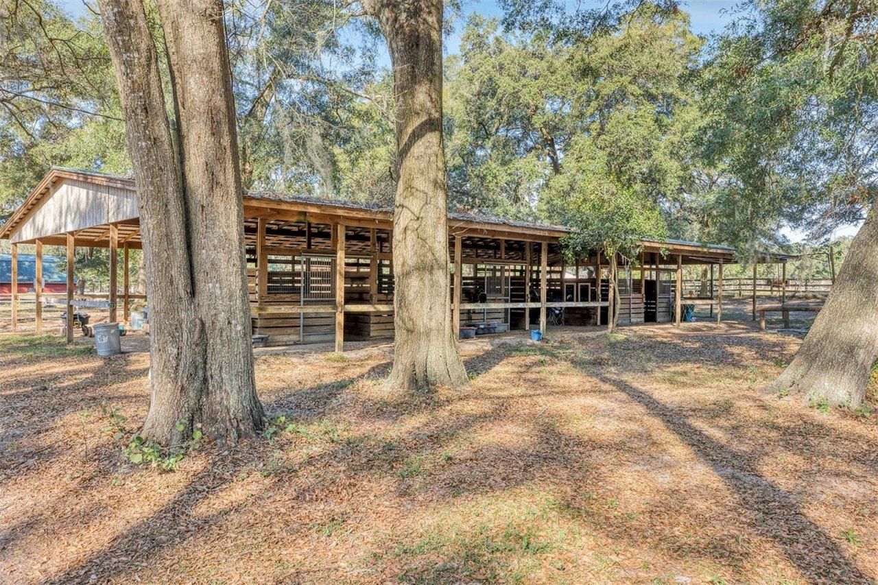 208 NE 70th Street, Ocala, FL 34479 Photo