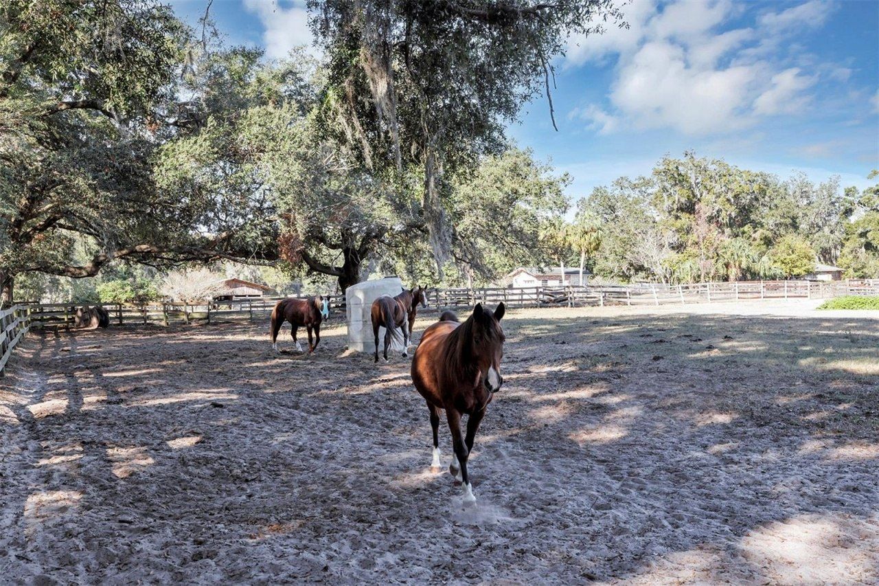 208 NE 70th Street, Ocala, FL 34479 Photo