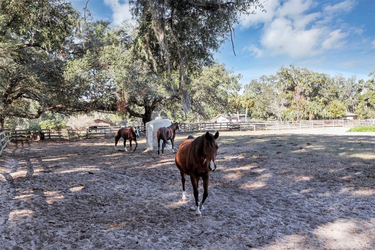 208 NE 70th Street, Ocala, FL 34479 Photo