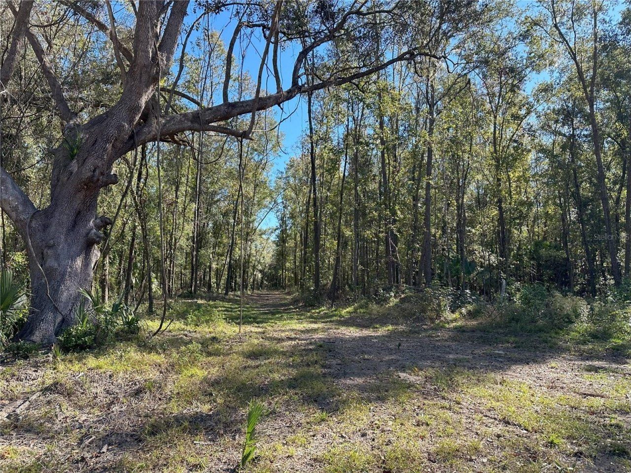 55ac W Hwy 318, Reddick, FL 32686 Photo