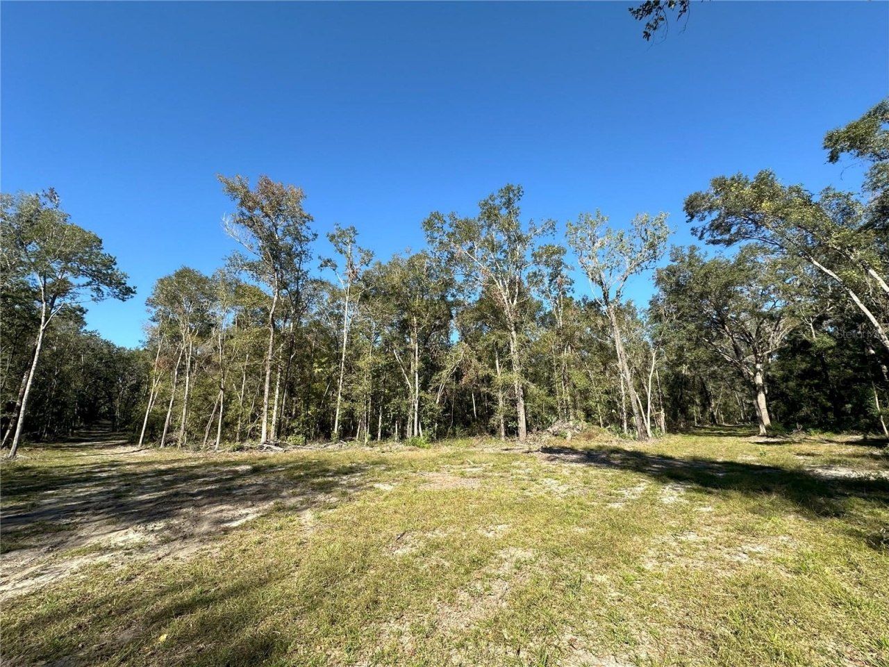 55ac W Hwy 318, Reddick, FL 32686 Photo