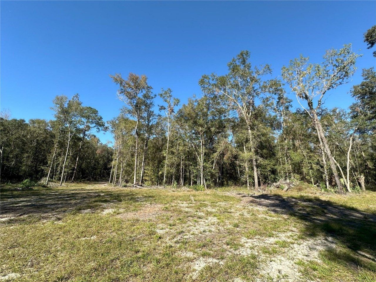 55ac W Hwy 318, Reddick, FL 32686 Photo