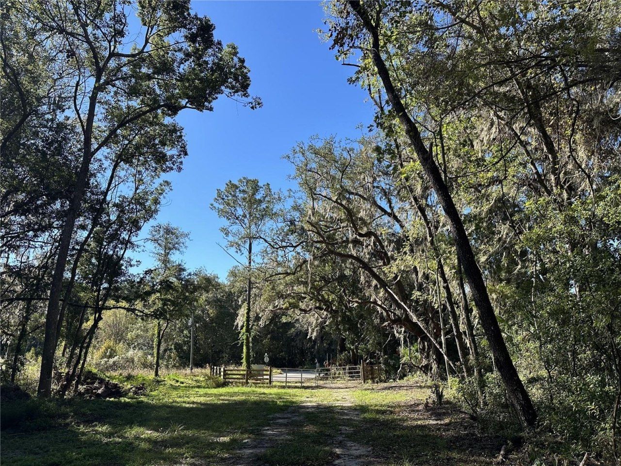 55ac W Hwy 318, Reddick, FL 32686 Photo