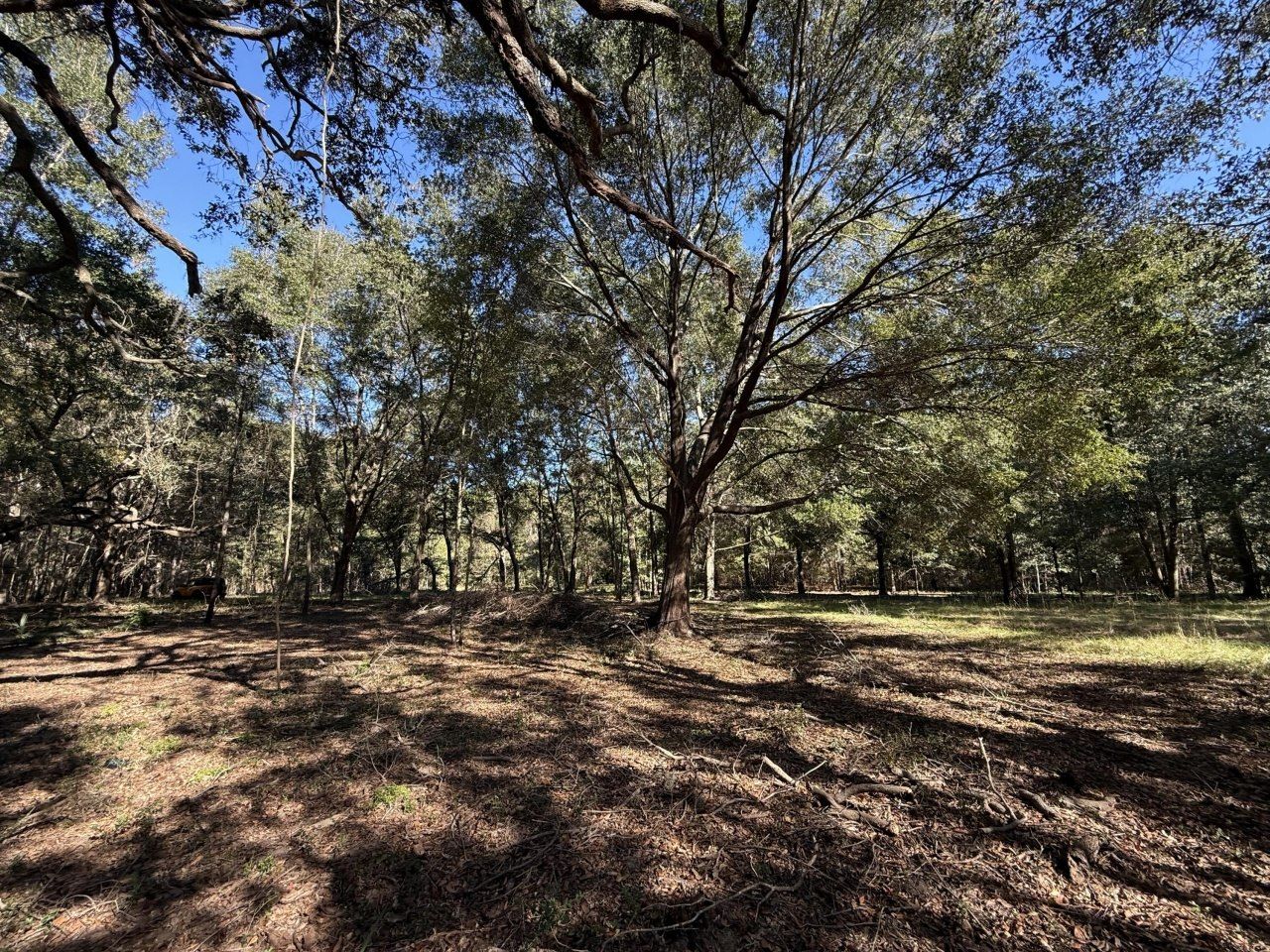 8341 Crooked Creek Lane Photo 10