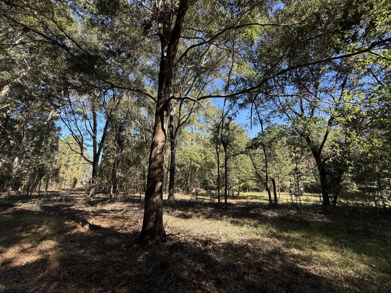 8341 Crooked Creek Lane Photo 11