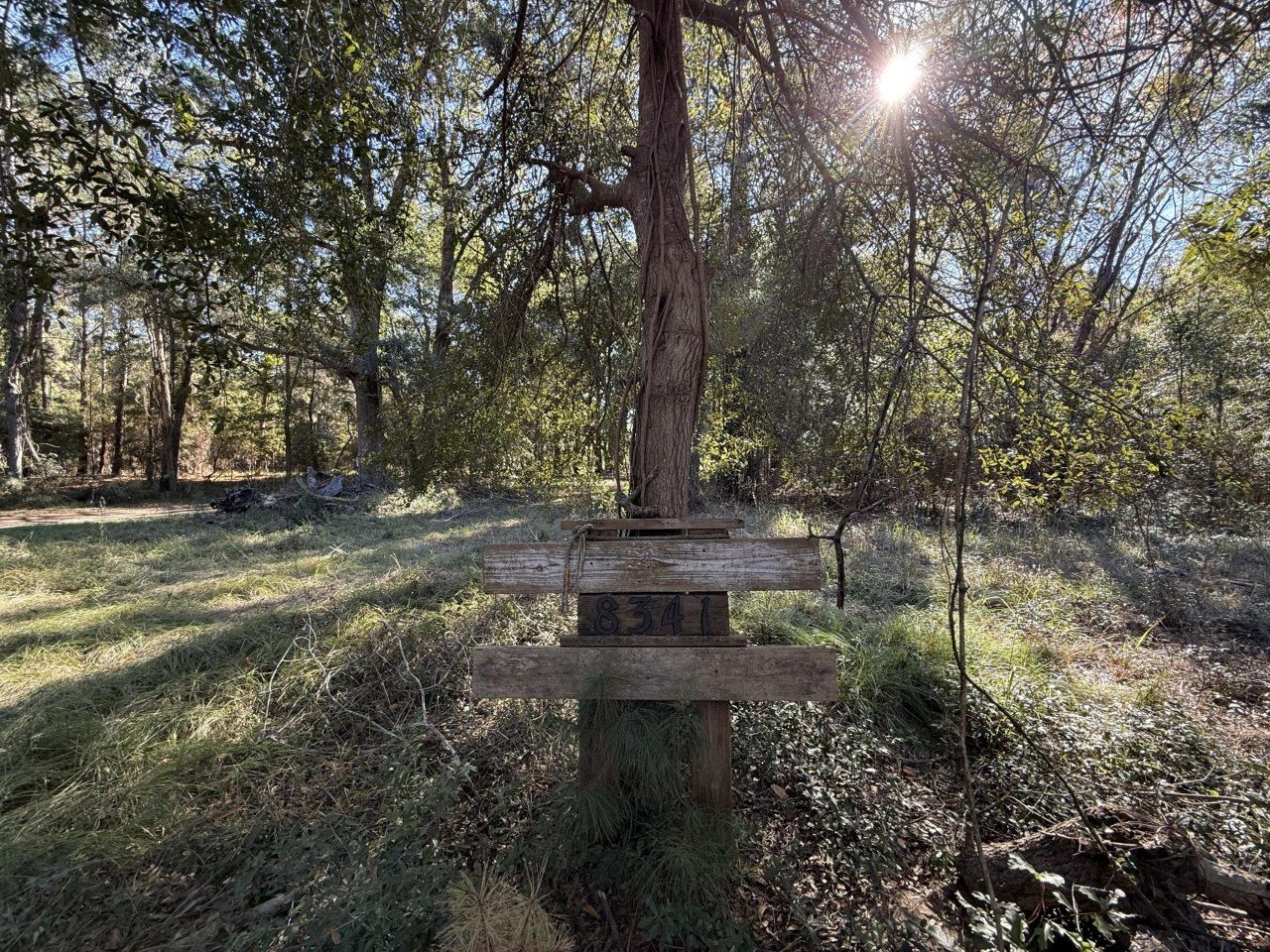 8341 Crooked Creek Lane Photo 12