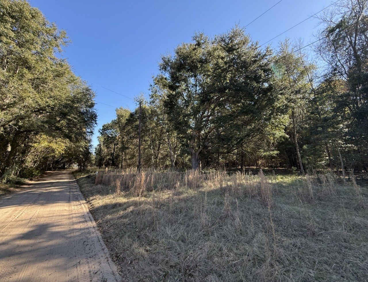 8341 Crooked Creek Lane Photo 15