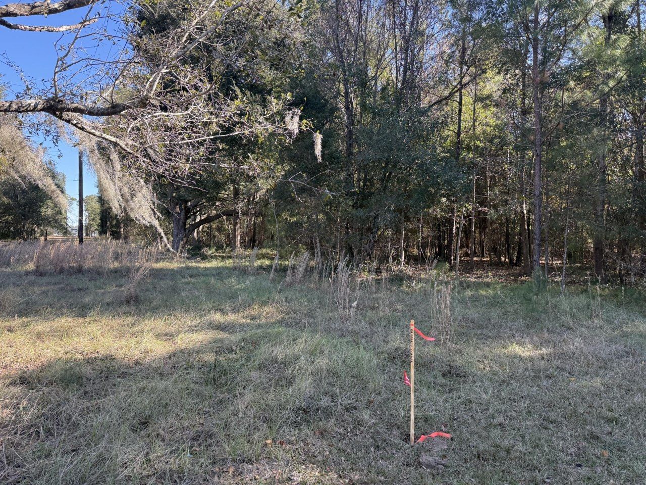 8341 Crooked Creek Lane Photo 17