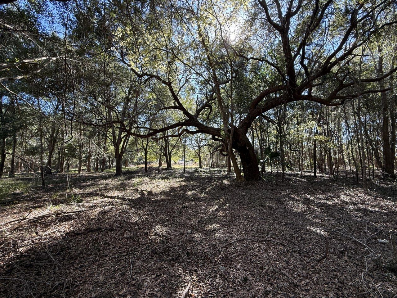 8341 Crooked Creek Lane Photo 2