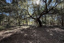 8341 Crooked Creek Lane photo 4