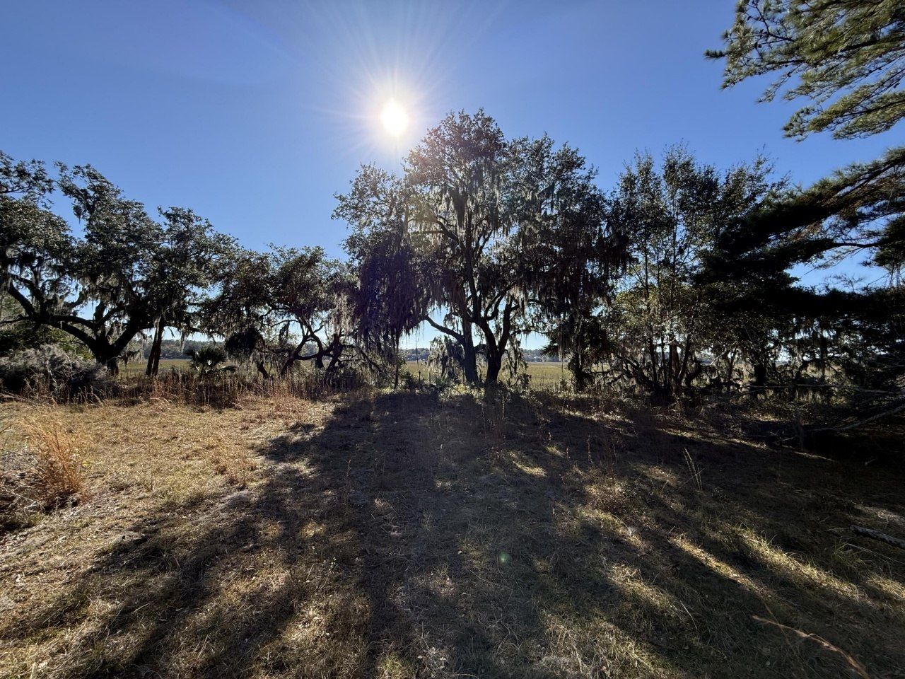 8341 Crooked Creek Lane Photo 3
